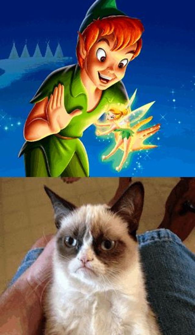 Grumpy Cat Does Not Believe MEME Generator - Create Grumpy Cat Does Not ...