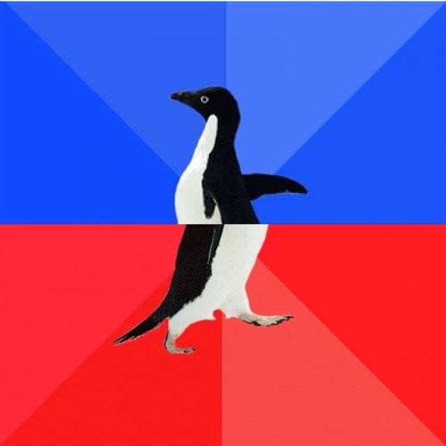 socially-awkward-awesome-penguin-meme-generator-create-socially